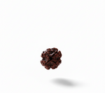 4 Mukhi Rudraksha