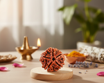 5 Mukhi Rudraksha