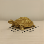 Brass Big Tortoise