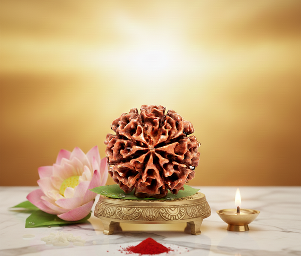 8 Mukhi Rudraksha