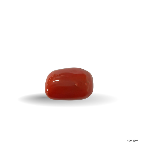 5.70 CARAT MOONGA (CAPSULE)