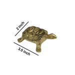 Brass Tortoise Small