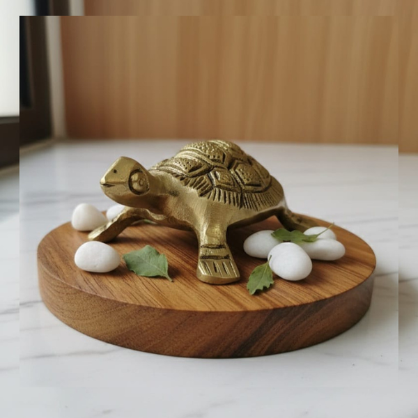 Brass Tortoise Small