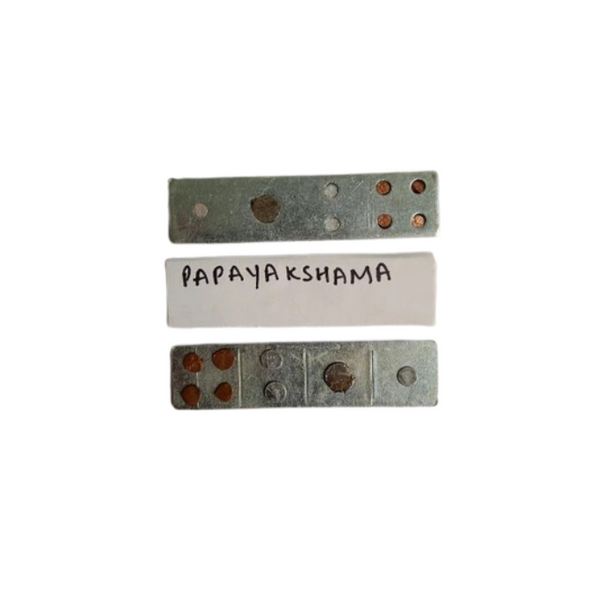 Papayakshama Devta Div