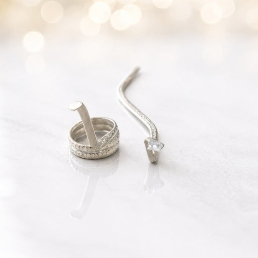 Metal Naag–Nagin